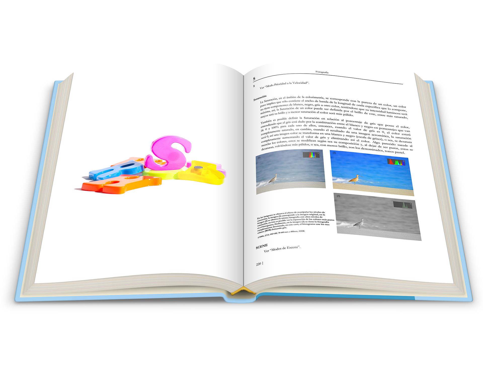 Fotografía – Conceptos y Definiciones