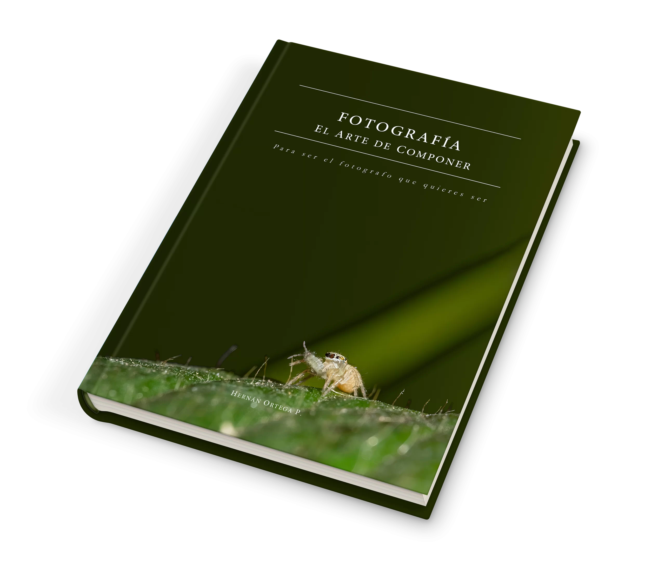 Fotografía – El Arte de Componer