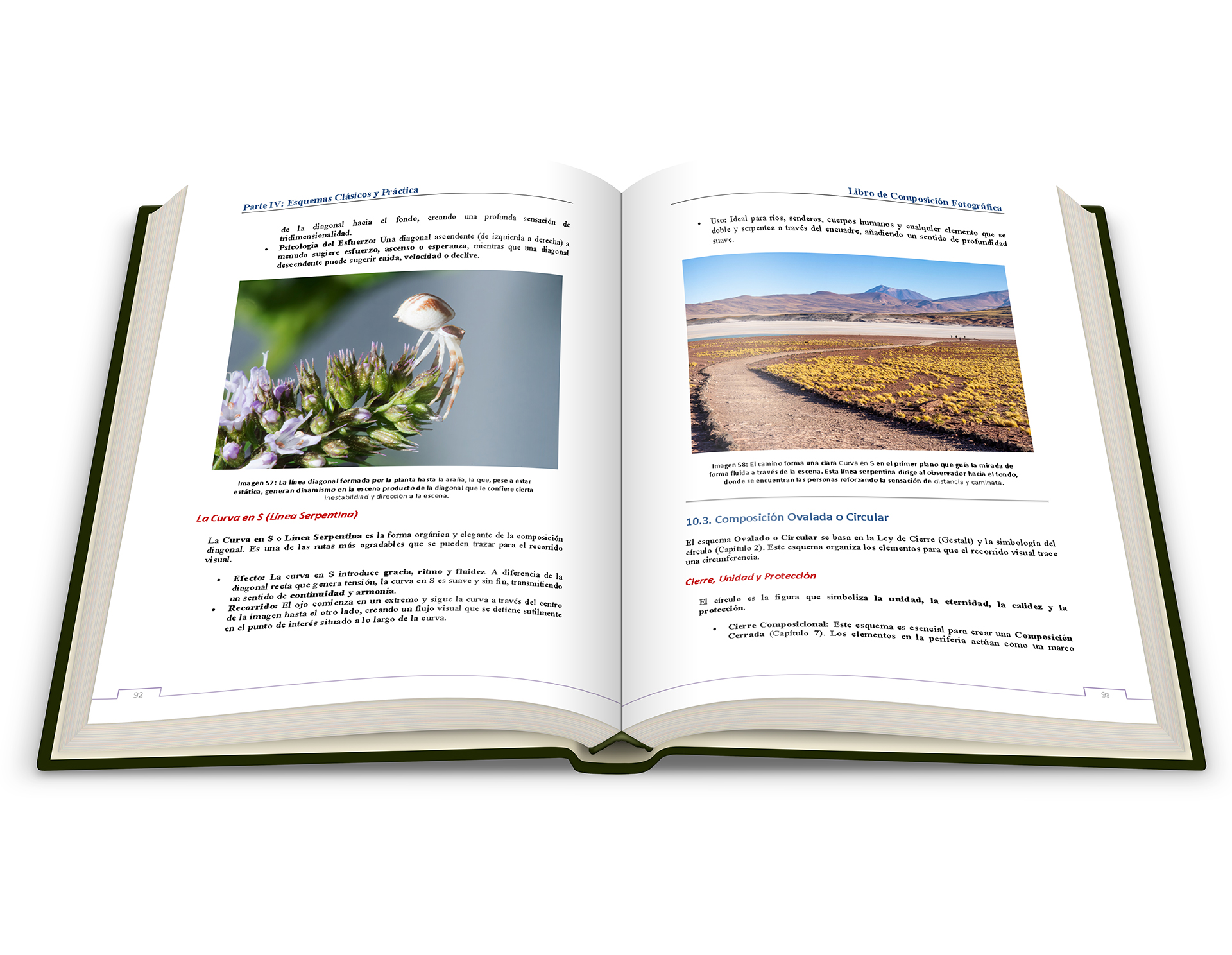 Fotografía – El Arte de Componer