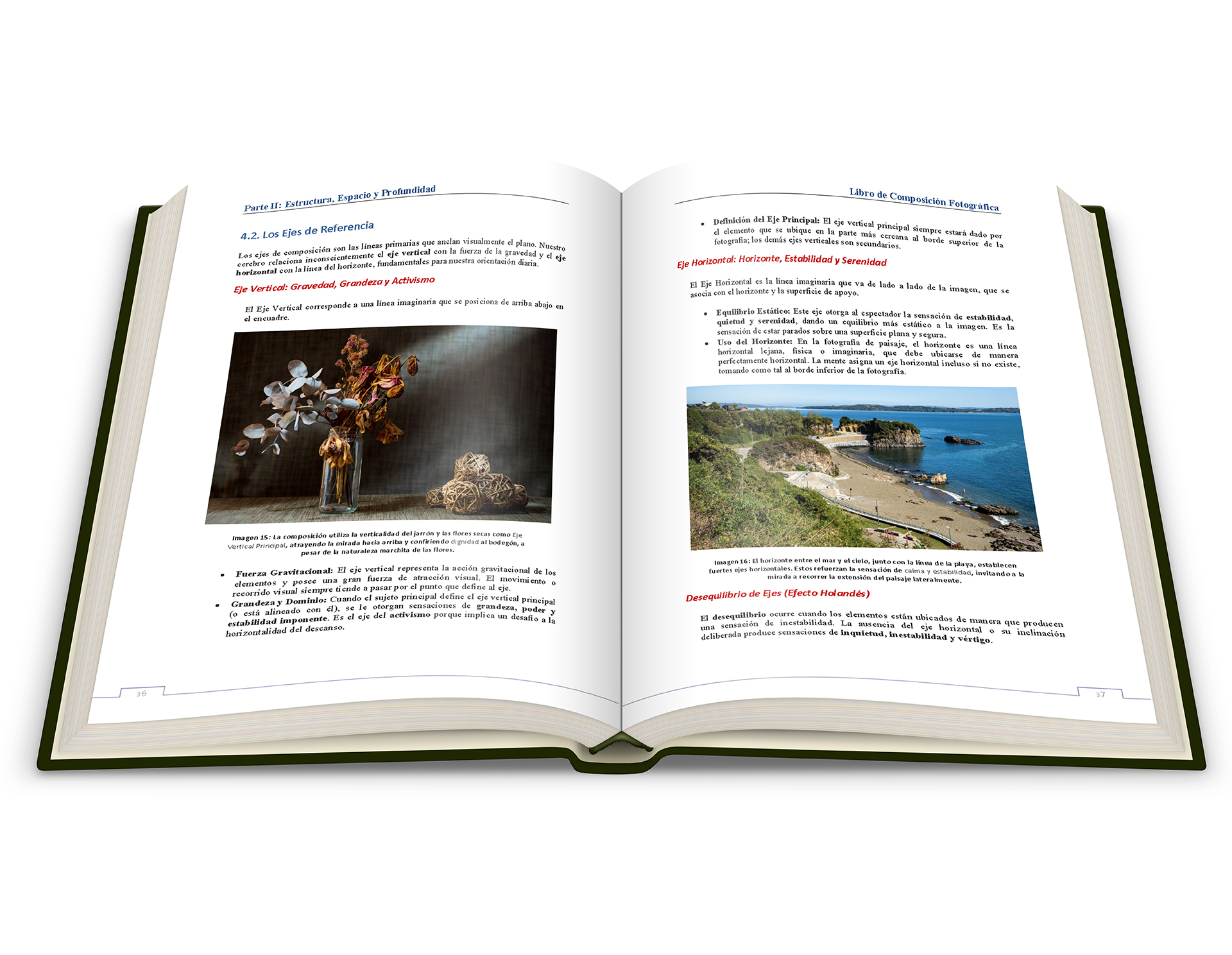 Fotografía – El Arte de Componer