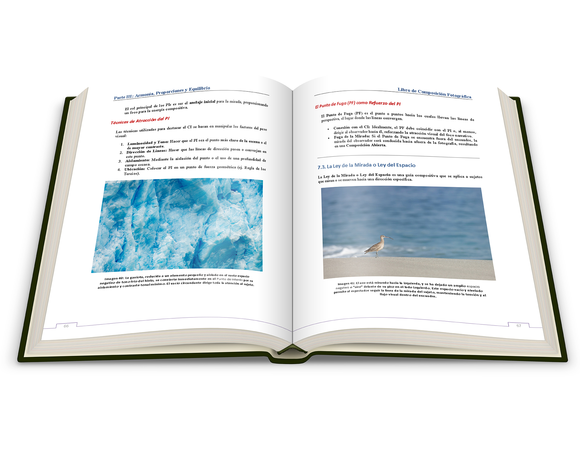 Fotografía – El Arte de Componer