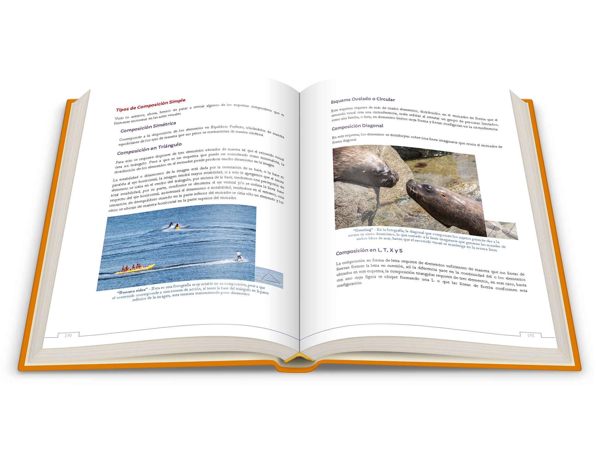 Fotografía – De Principio a Fin